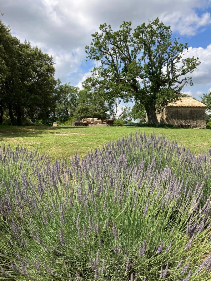 Vila La Bastide Des Roman Vernegues Exteriér fotografie
